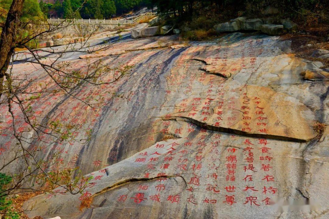 被困的狮王逃生3